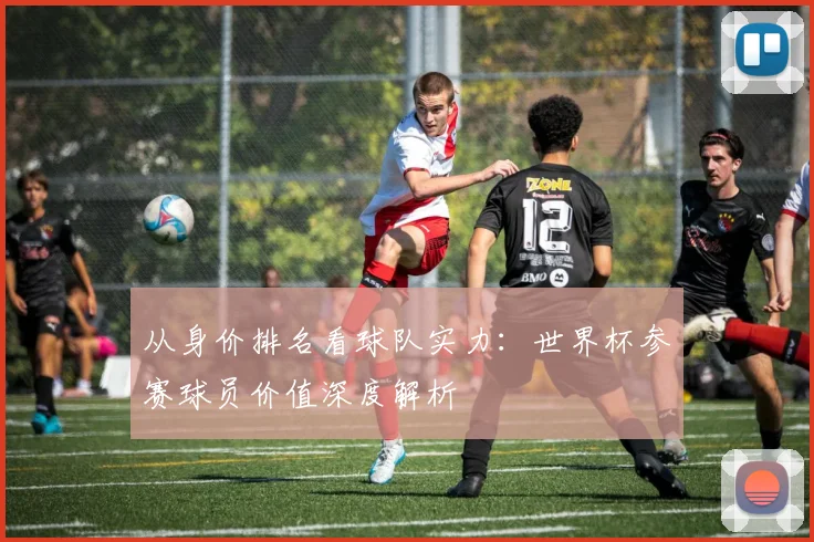 从身价排名看球队实力：世界杯参赛球员价值深度解析