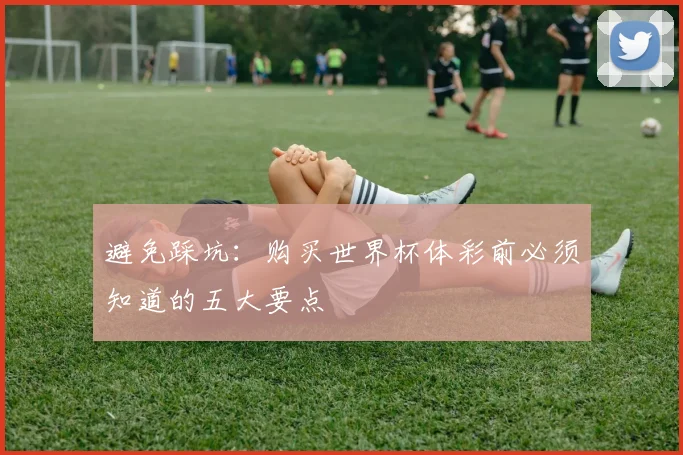 避免踩坑：购买世界杯体彩前必须知道的五大要点