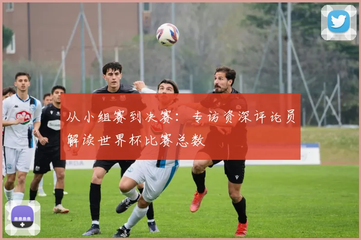 从小组赛到决赛：专访资深评论员解读世界杯比赛总数